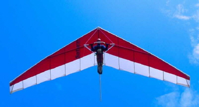 Planform view of a Saturn in flight.